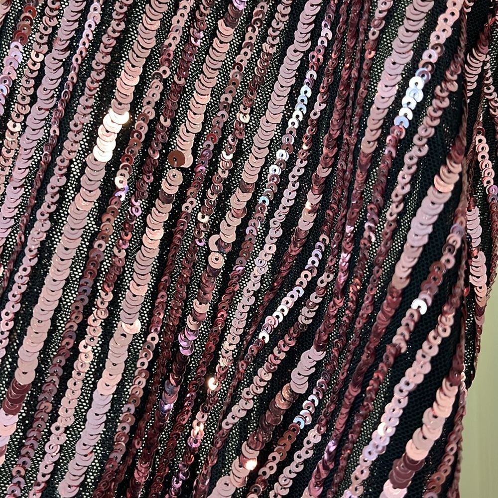 BARDOT Stripe Sequin Bellissa Dress in Multi Pink S NWOT Holiday Cocktail Semi - Picture 4 of 8